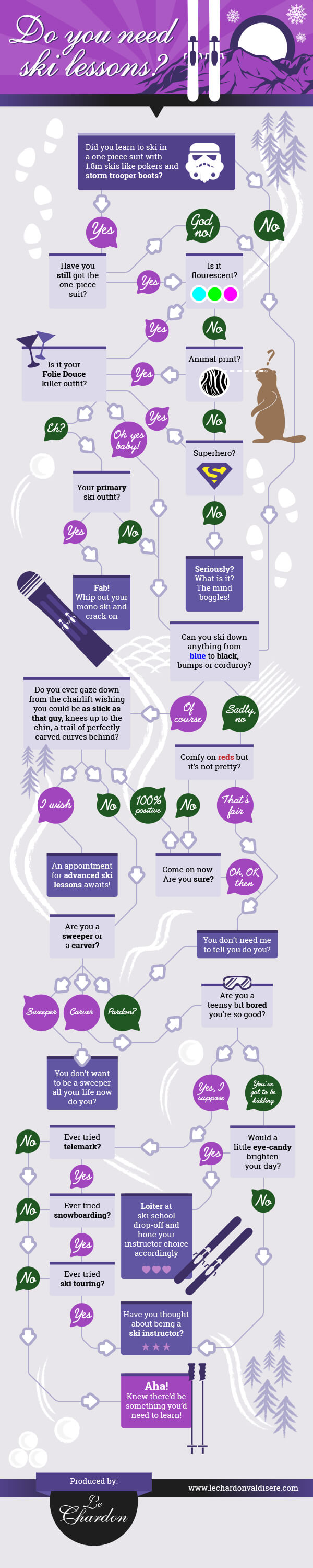 ski lessons infographic