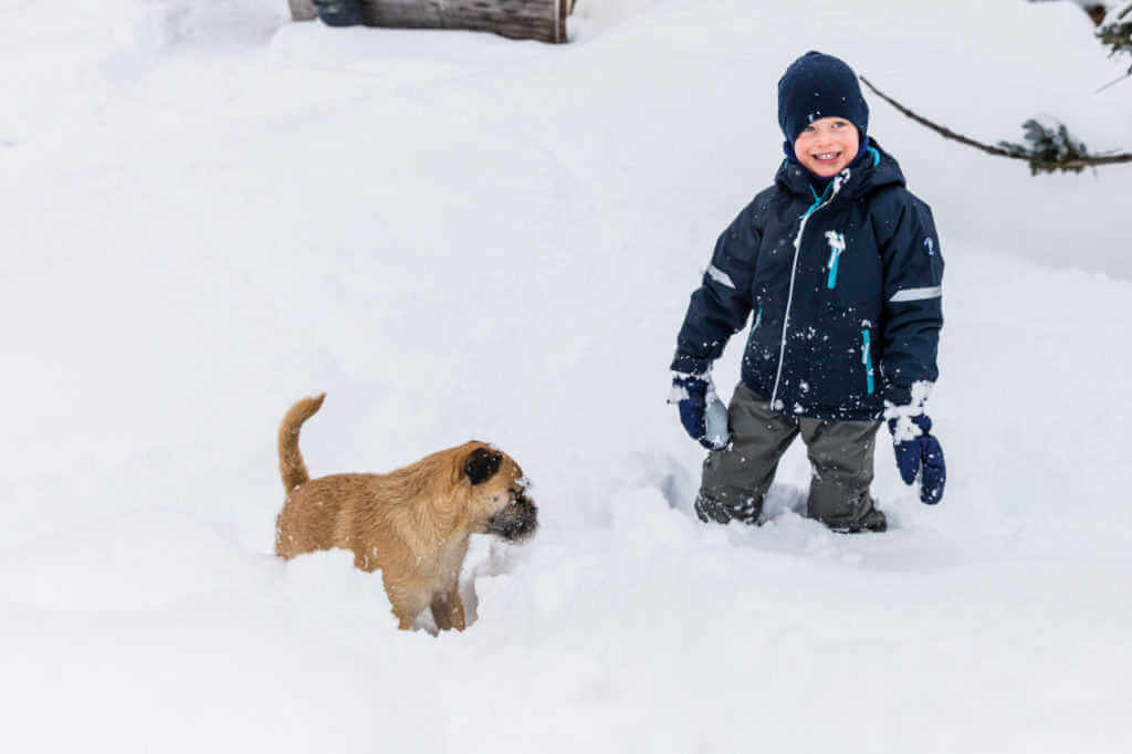 Child and dog playing in the snow at Le Chardon Val d'Isère